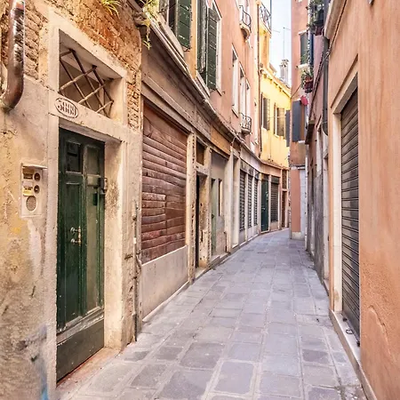 Cà Marina, In Biennale